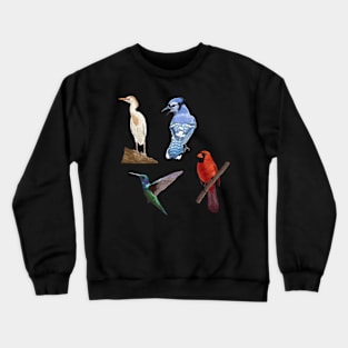 East Cost Birds Detailed Illustration Four Pack (Egret, Blue Jay, Hummingbird, Cardinal) Crewneck Sweatshirt